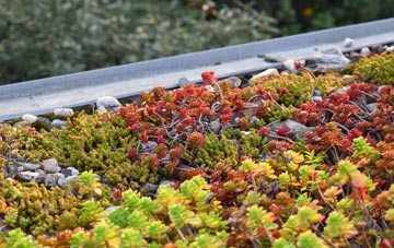 the cost of Hatton Heath green roof installation