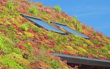 Hatton Heath living roof systems